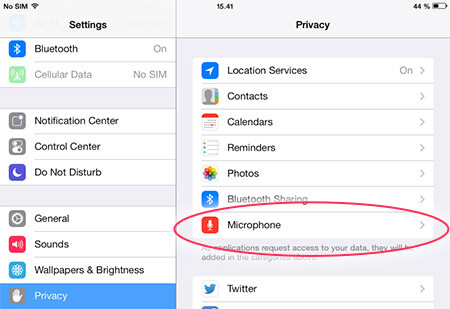 iPad/iPhone privacy settings